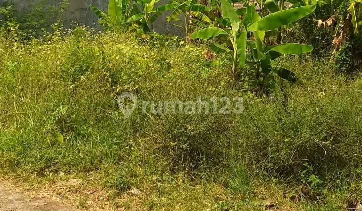 Cheap Land Near the City of Cirebon Cheap Land Near the City of Cirebon