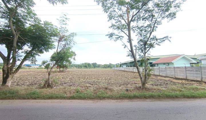 Dijual Tanah di Jalan Raya Lojikobong Kab. Majalengka, Majalengka 1