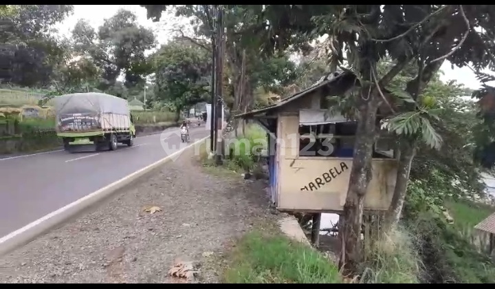 Cool Environment Suitable for Villas. Fishing Pond Cool Environment Suitable for Villas. Fishing Pond