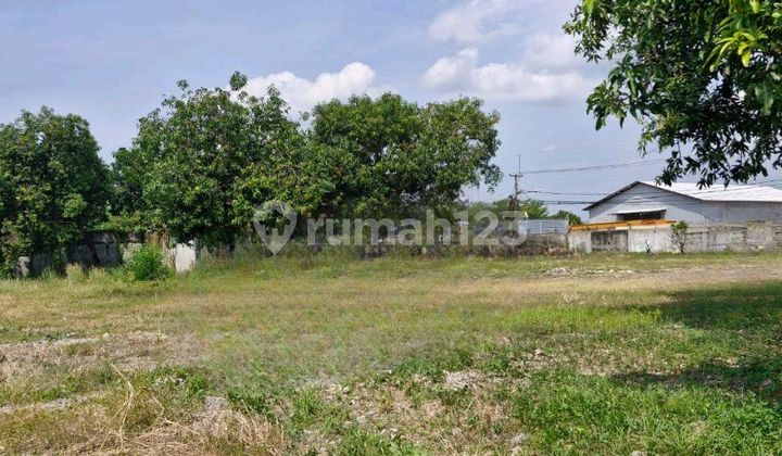 For Sale/Rent Land and Office in Mundu
