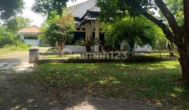 Large House. Spacious Yard. Excess Land (ag). 1