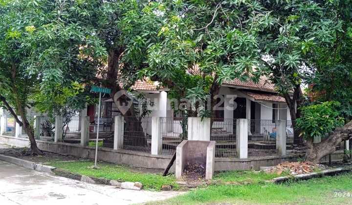 Dijual Rumah 2 Lantai Komplek Pertamina Dekat dengan Pusat Kota Cirebon di Klayan (Alb) Dijual Rumah 2 Lantai Komplek Pertamina Dekat dengan Pusat Kota Cirebon di Klayan (Alb)