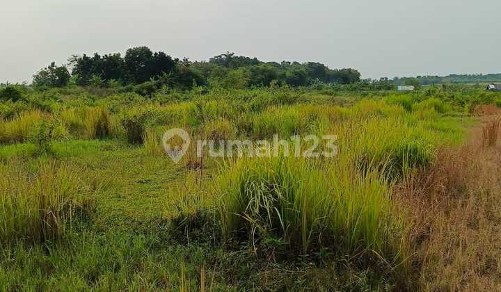 For Sale Roadside Land in Cigasong Majalengka (Al)