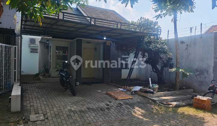 Semi-Furnished House for Rent in Kepompongan Talun (El)