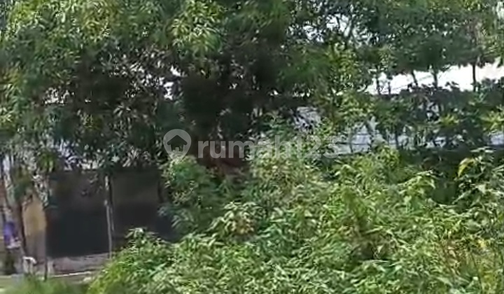 Lokasi Tanah Strategis Dilingkungan Pendidikan(ag)