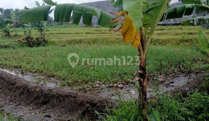 Dijual Sawah di Depan Santika Premiere Kuningan (El)