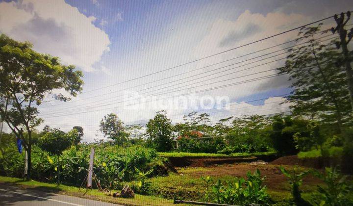 LAHAN TANAH KOSONG 1, 2 HA DI SECANG 2