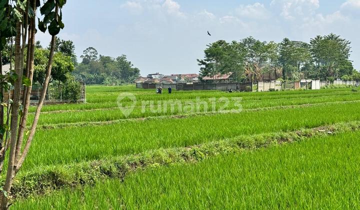 Tanah Sawah Hanya 5 Menit ke Tol Soreang Bandung