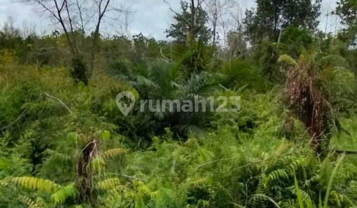 Dijual Tanah Komersial Dipinggir Jalan Palangkaraya 2