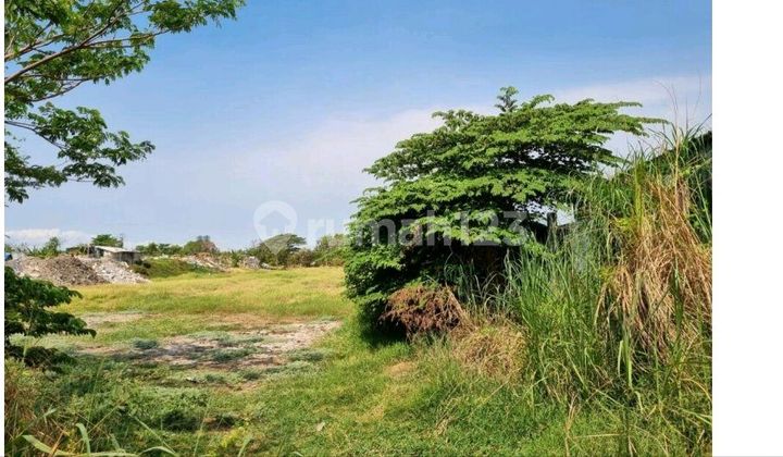 Land for Sale in West Surabaya Border, Driyorejo