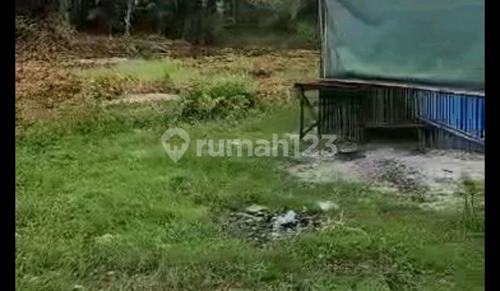 Land Large Roadside Near Palangkaraya Airport