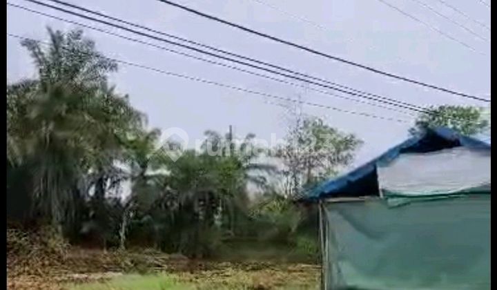 Land Large Roadside Near Palangkaraya Airport