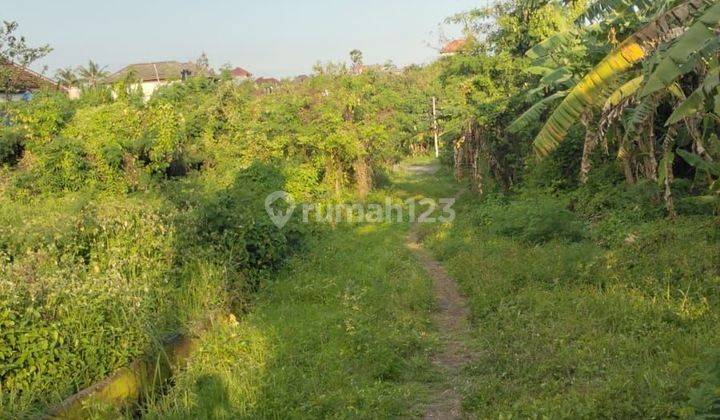 (55). Tabanan Area Land Suitable For Business And Personal 1