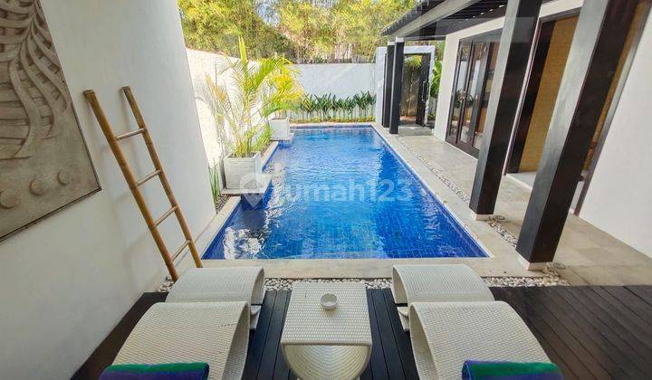 Elite villa with swimming pool and relaxing area 2