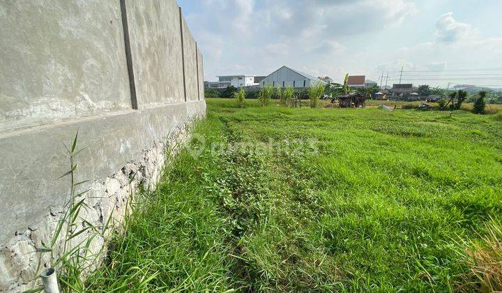 (6). Tanah dengan view sawah dan dekat pusat kota 2