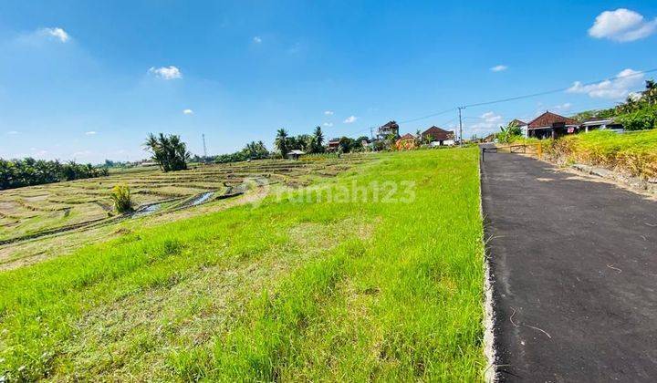 (7). Tanah Area Tanah Lot Dengan View Sawah 2