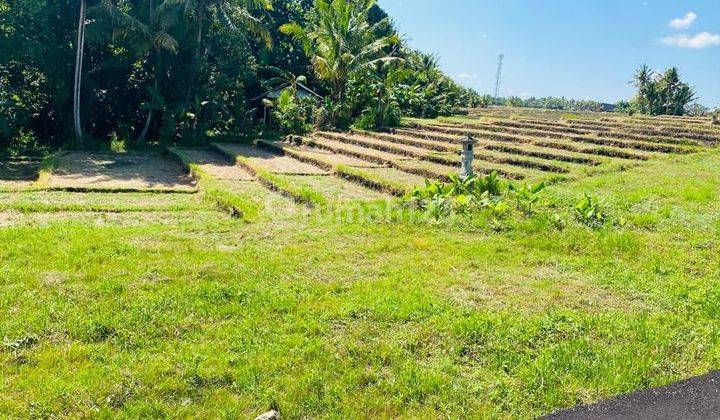 (7). Tanah Area Tanah Lot Dengan View Sawah 1