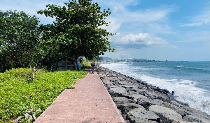 (12). Tanah daerah tanah lot cocok untuk lahan usaha 1