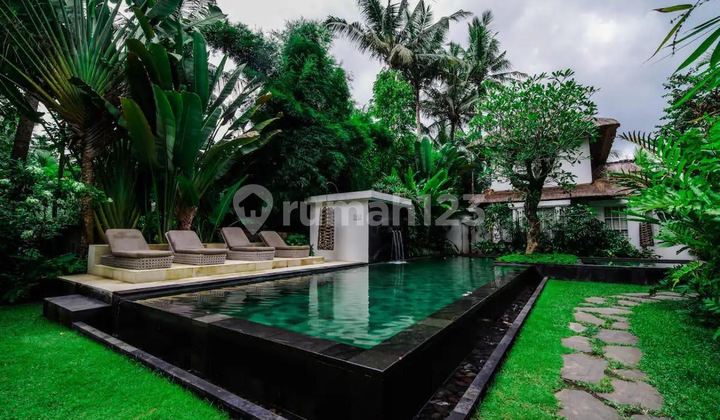 LUXURY VILLA NEAR MONKEY FOREST WITH SWIMMING POOL IN UBUD, BALI LUXURY VILLA NEAR MONKEY FOREST WITH SWIMMING POOL IN UBUD, BALI