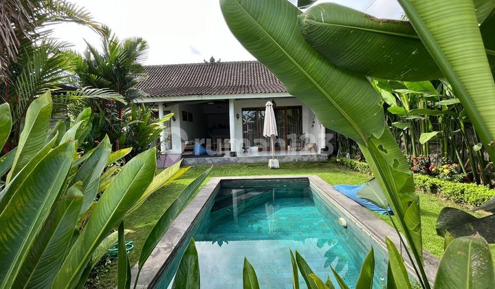 VILLA STRATEGIS DENGAN KOLAM RENANG DEKAT PANTAI, BABAKAN CANGGU