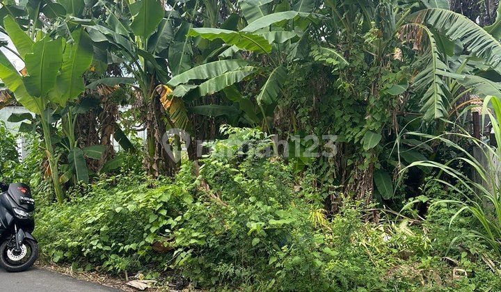 Tanah Luas Strategis Zona Kuning di Padonan Tibubeneng