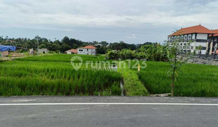 Strategic Commercial Land Area on Main Road Suitable for Restaurant, Cemagi.