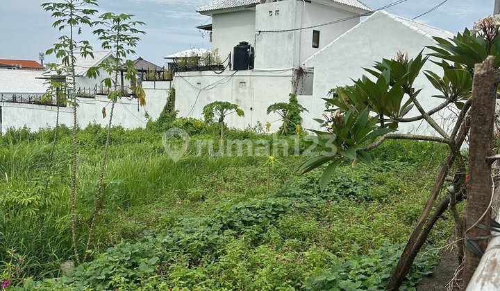 Tanah Stratregis Luas Cocok untuk Property di Padonan Canggu