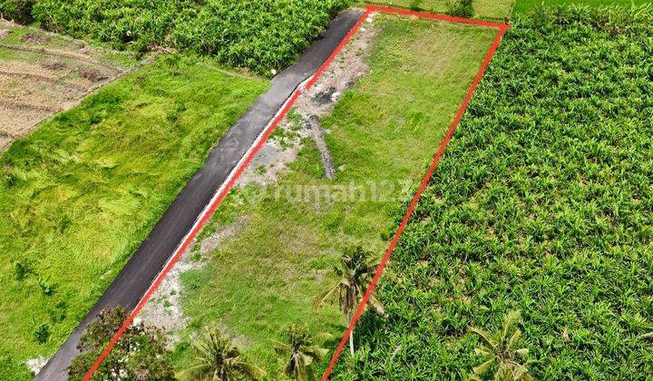 (9). Land For Rent With Strategic Location 1