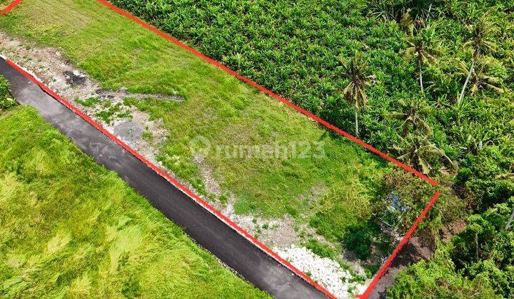 (9). Land For Rent With Strategic Location 2