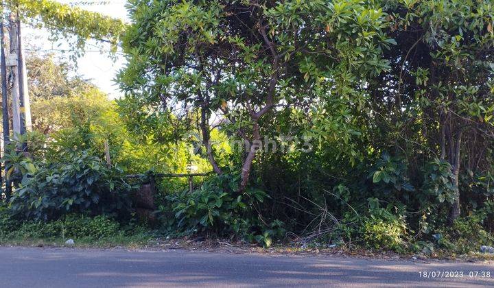 (91). Land For Sale Roadside Posision Suitable For Bussiness 1