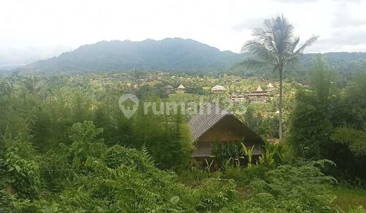 Tanah Langka View Sawah dan Gunung Agung Sidemen Karangasem