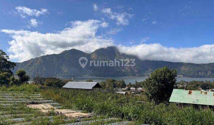 (92). Land For Sale With Rice Field And Mountain View 1