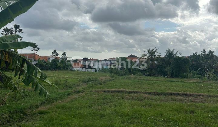 Tanah Strategis bisa Sebagian di Padonan, Canggu