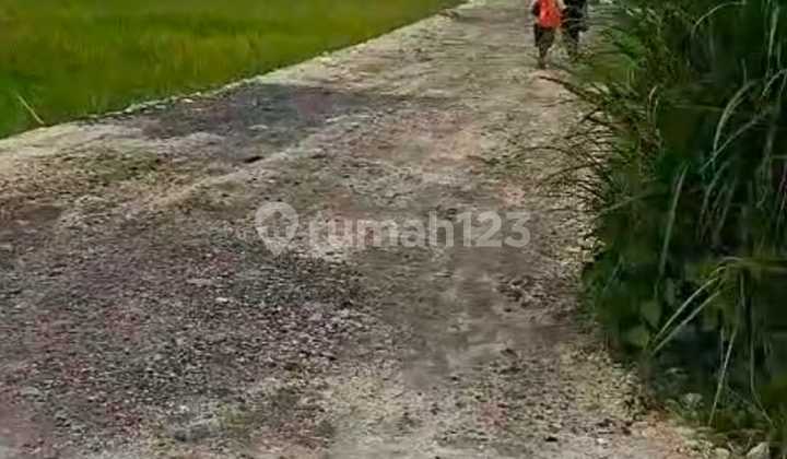 Land in a Strategic Location with Easy Access in Cemagi, Badung Area