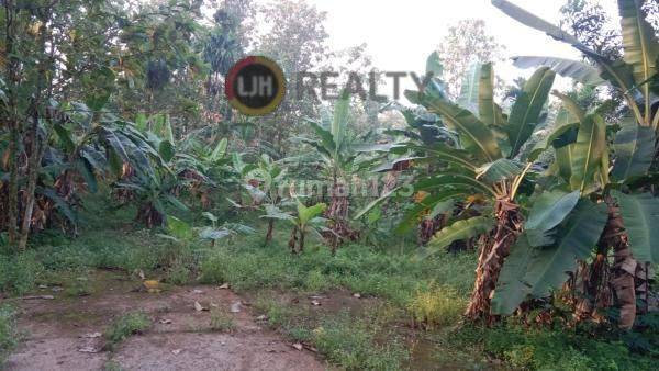 Dijual 8 Kavling Total +/-1.3ha Di Kp Kaler Kemang Bogor  1