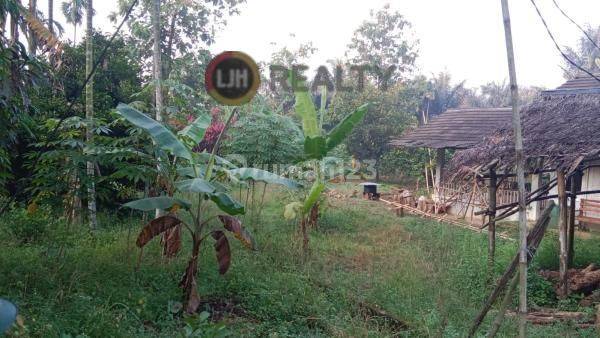 Dijual 8 Kavling Total +/-1.3ha Di Kp Kaler Kemang Bogor  2