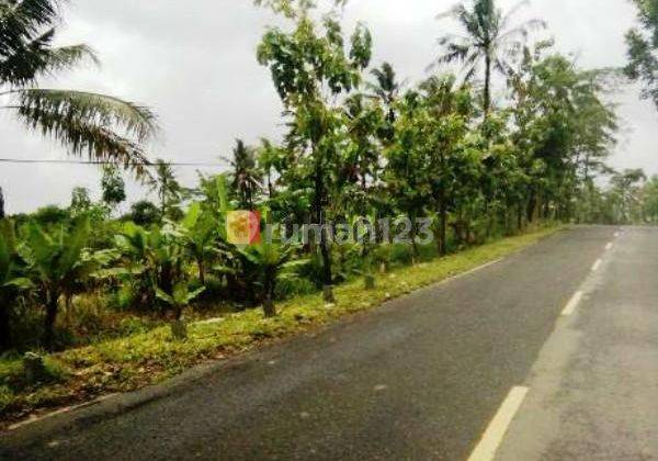 Dijual Tanah Area Wisata Toll Gate Panimbang Banten 1