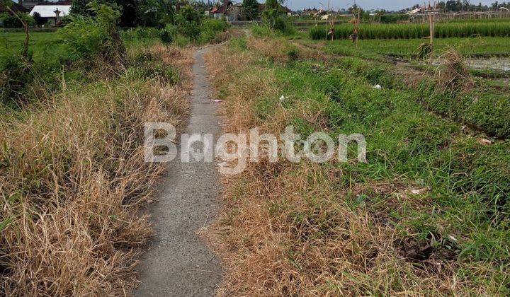 Land area of 80 acres in a location that will develop 1