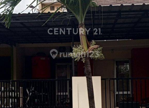 Disewakan Rumah Siap Huni 1 ½ Lantai Di Cluster Ifolia Bekasi 2
