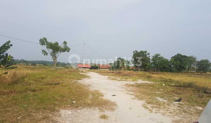 Land for Sale, Mature Land Ready to Build, Area 25Ha in Serang