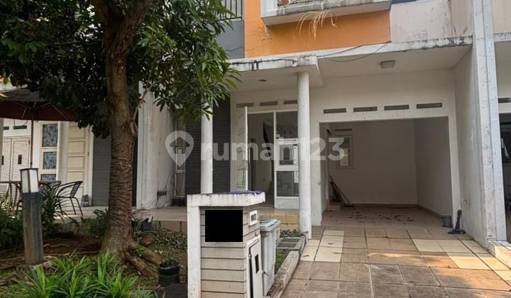 Disewakan Rumah di Cluster Darwin Scientia Disewakan Rumah di Cluster Darwin Scientia