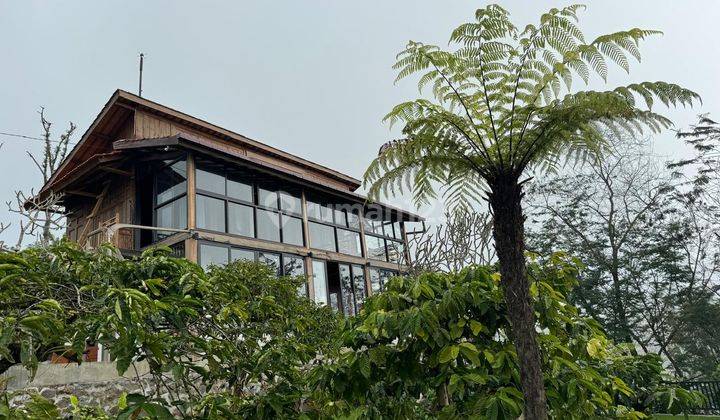 Dijual Villa Kayu Cozy di Pegunungan Bedugul View Spektakuler 1