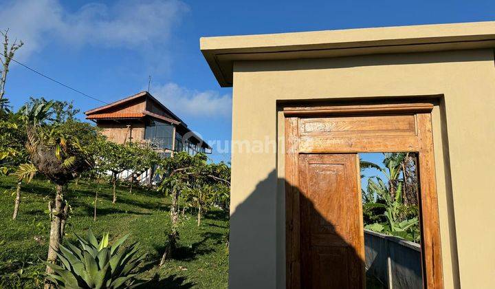 Dijual Villa Kayu Cozy di Pegunungan Bedugul View Spektakuler 2