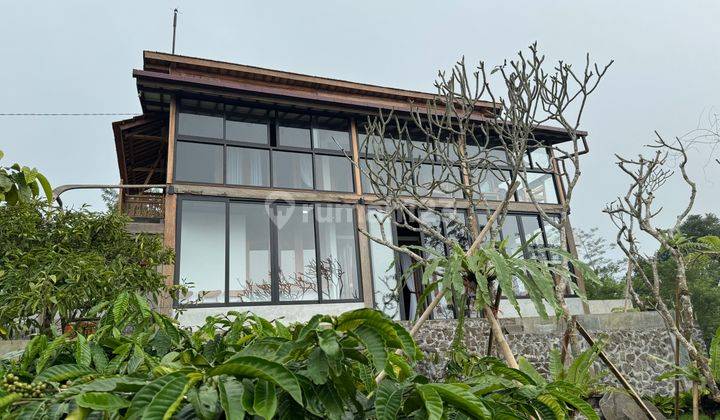 Dijual Villa di Pegunungan Wanagiri 1