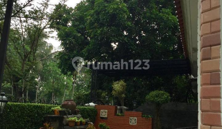 For Sale/For Rent Luxury Corner House Fully Renovated 2