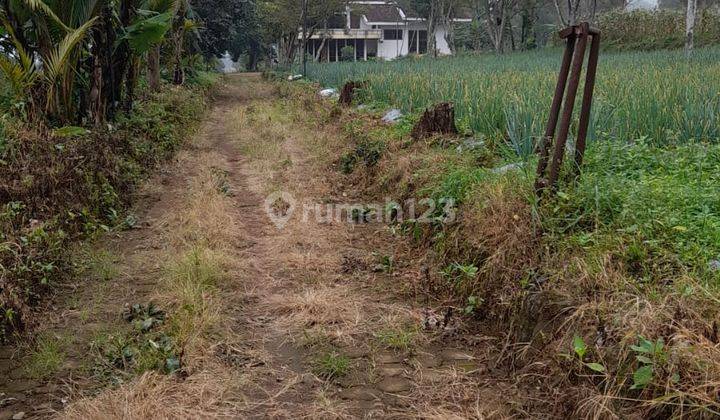 Cari Tanah Untuk Usaha Perkebunan Atau Villa Di Desa Gekbrong Cianjur 2