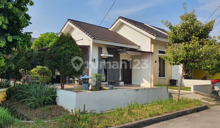 Dijual Rumah Siap Huni di Harapan Mulya Regency Cluster Acacia Dijual Rumah Siap Huni di Harapan Mulya Regency Cluster Acacia