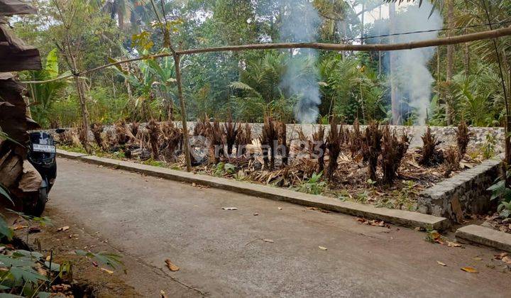 Tanah Pekarangan di Turi Tempel Dekat Desa Wisata Sokamartani di Tempel, Sleman 1