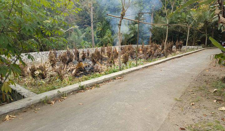 Tanah Pekarangan di Turi Tempel Dekat Desa Wisata Sokamartani di Tempel, Sleman 2