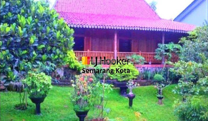 Rumah Joglo Di Lerep Ungaran Barat Cocok Untuk Villa 1